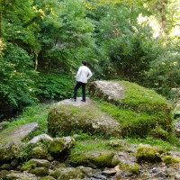 freelancer-avatar