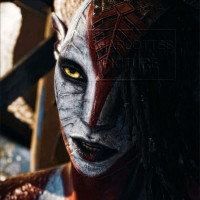 freelancer-avatar
