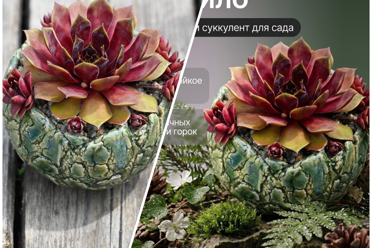 portfolio-cover
