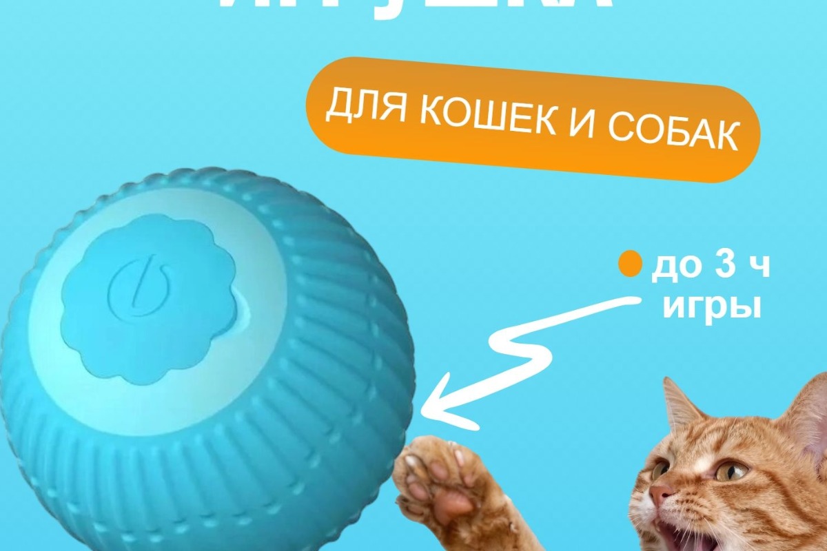 Работа из портфолио