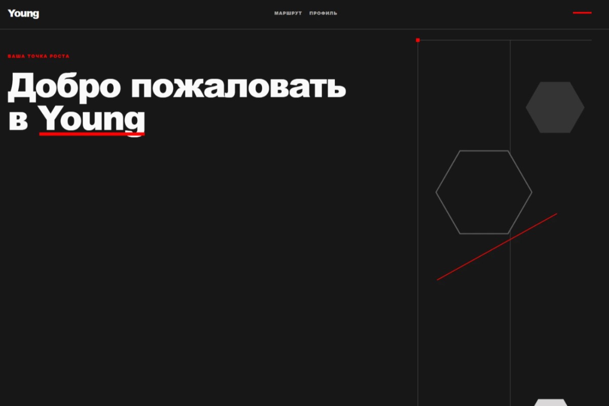 Работа из портфолио
