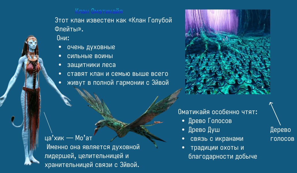 Figma, Canva, работа с заказчиками, соблюдение сроков, создание дизайнов по ТЗ, удалённое взаимодействие через Telegram.»