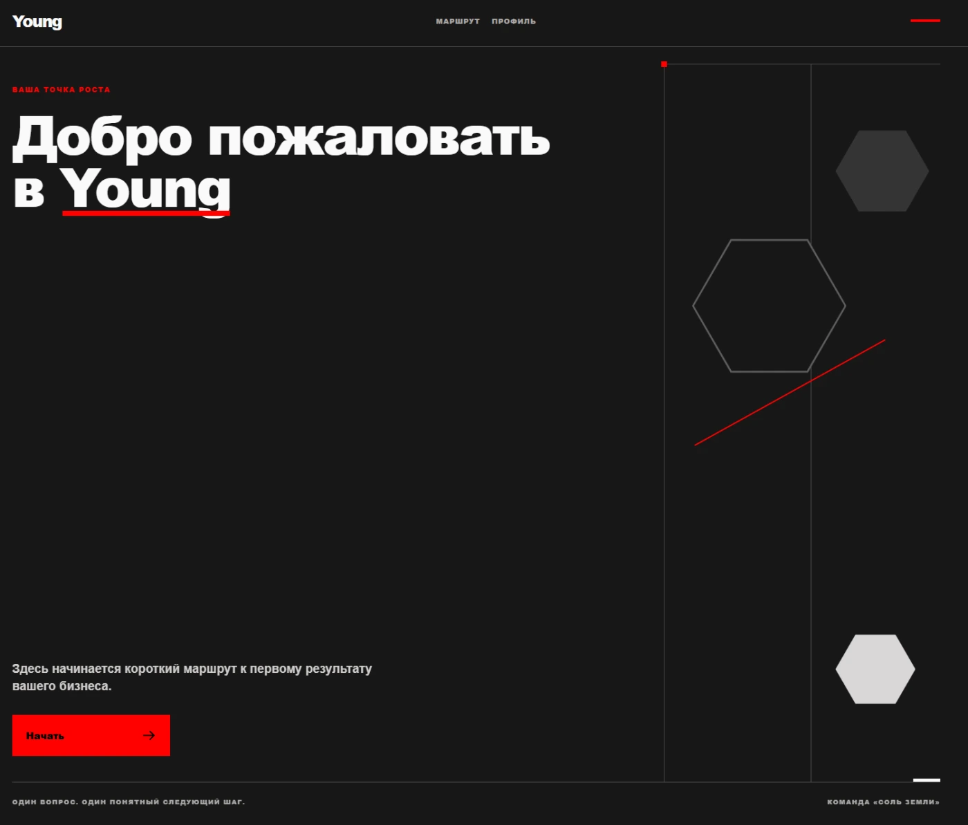 Работа из портфолио
