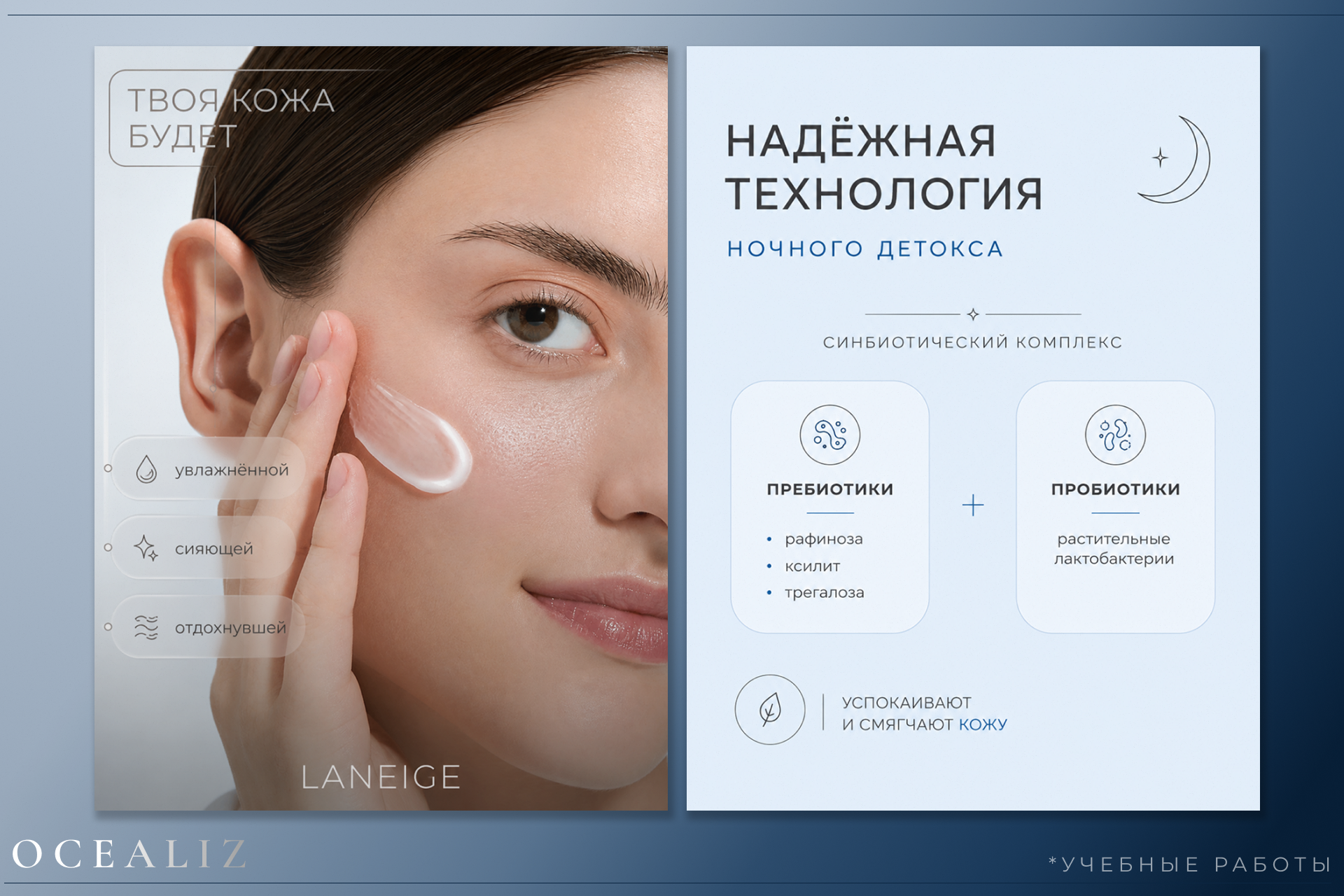 Работа из портфолио